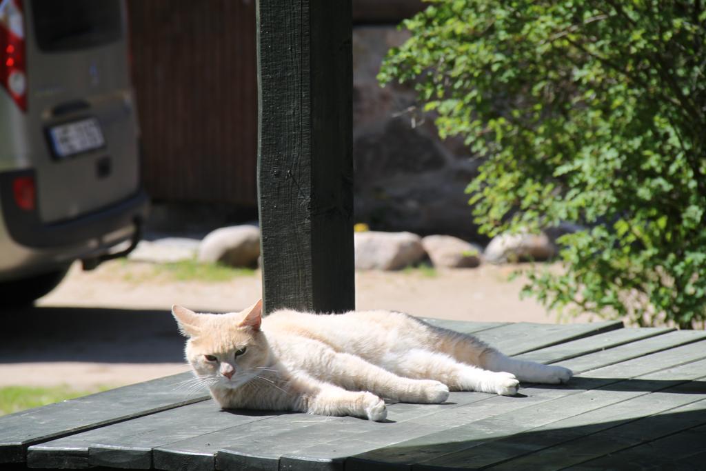 Vejavas Svetciems Luaran gambar