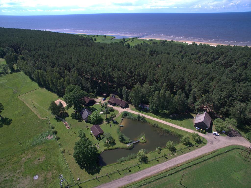 Vejavas Svetciems Luaran gambar